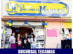 Alt Image Text