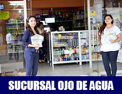 Alt Image Text